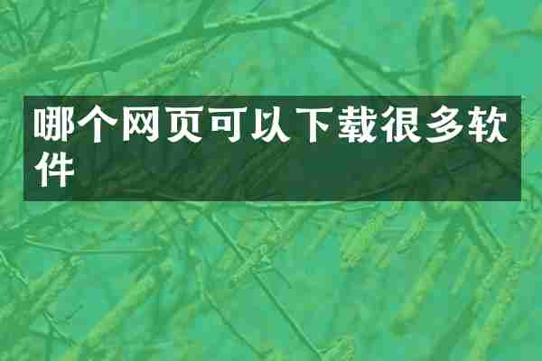 哪个网页可以下载很多软件