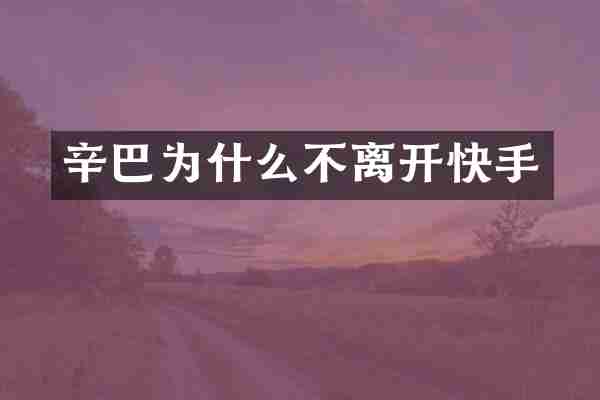 辛巴为什么不离开快手