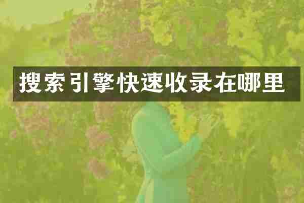 搜索引擎快速收录在哪里