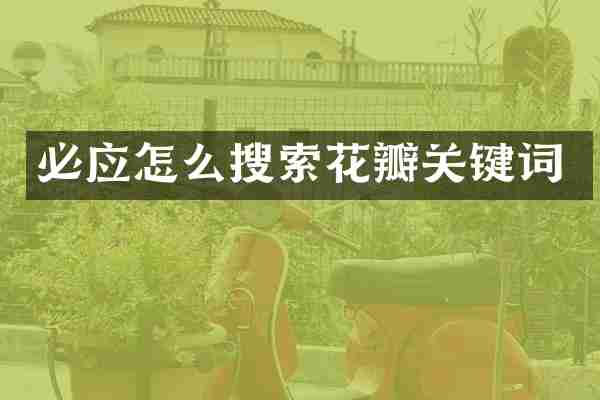 必应怎么搜索花瓣关键词