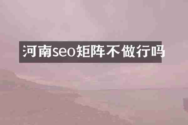 河南seo矩阵不做行吗