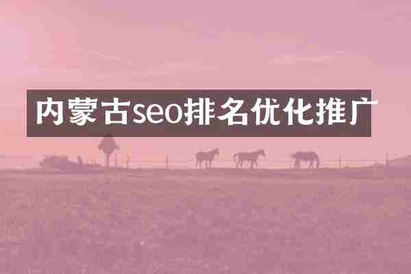 内蒙古seo排名优化推广
