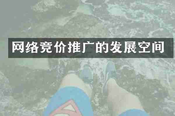 网络竞价推广的发展空间