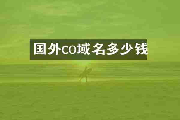 国外co域名多少钱
