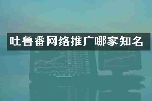 吐鲁番网络推广哪家知名