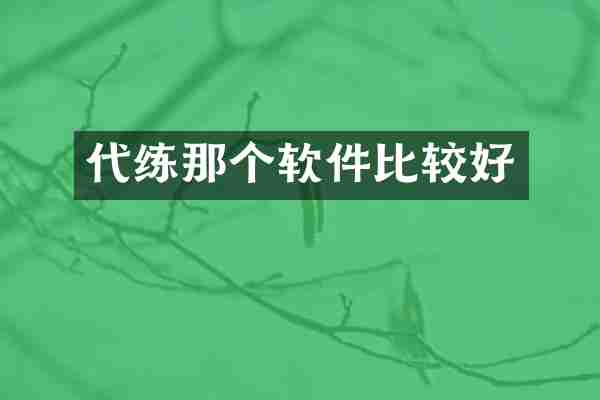 代练那个软件比较好