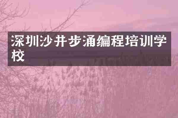深圳沙井步涌编程培训学校