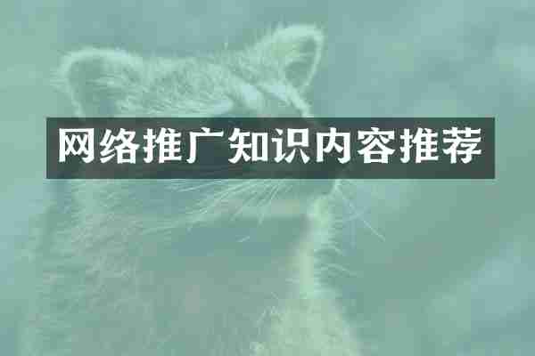 网络推广知识内容推荐