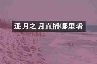 逐月之月直播哪里看