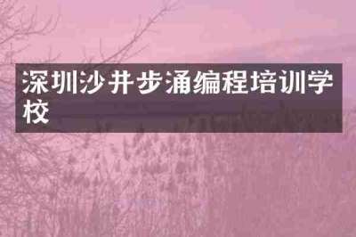 深圳沙井步涌编程培训学校