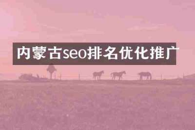 内蒙古seo排名优化推广