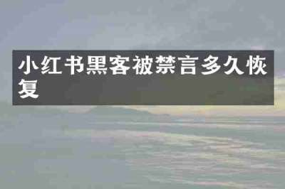 小红书黑客被禁言多久恢复