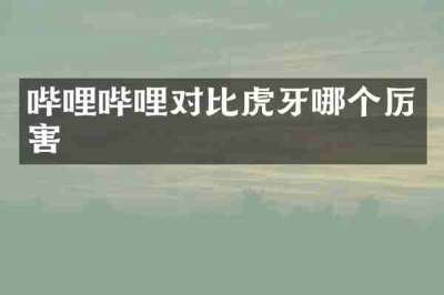 哔哩哔哩对比虎牙哪个厉害