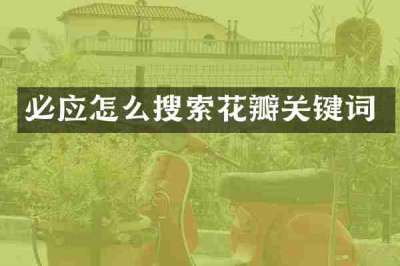 必应怎么搜索花瓣关键词