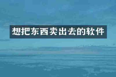 想把东西卖出去的软件