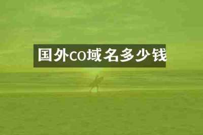 国外co域名多少钱