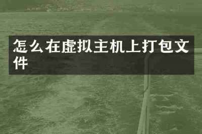 怎么在虚拟主机上打包文件