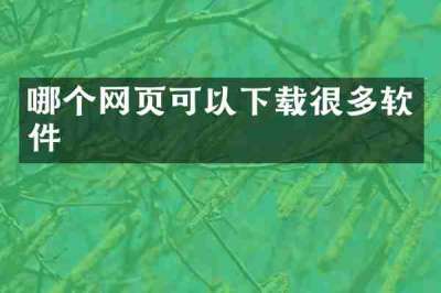 哪个网页可以下载很多软件