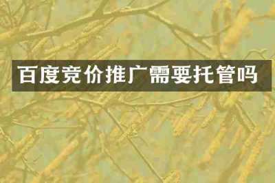 百度竞价推广需要托管吗