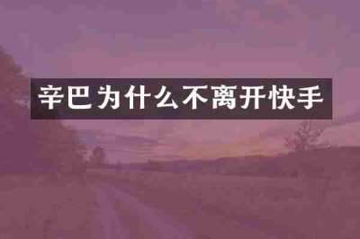 辛巴为什么不离开快手