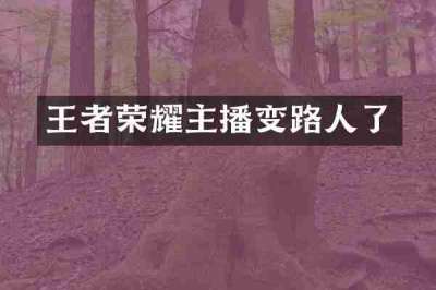 王者荣耀主播变路人了