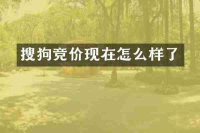 搜狗竞价现在怎么样了