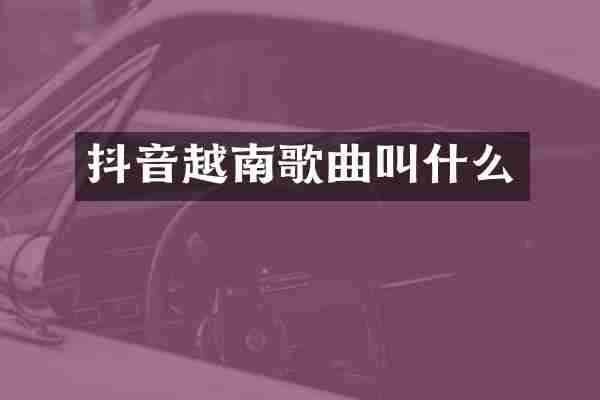 抖音越南歌曲叫什么