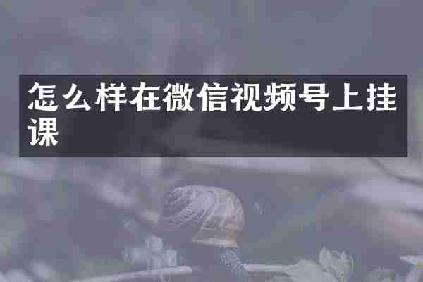 怎么样在微信视频号上挂课