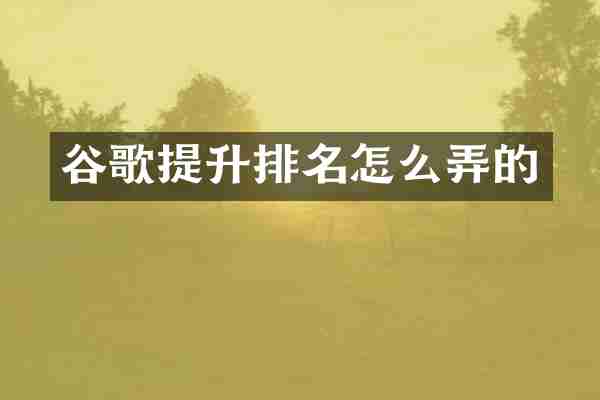 谷歌提升排名怎么弄的