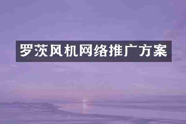 罗茨风机网络推广方案