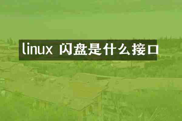 linux 闪盘是什么接口