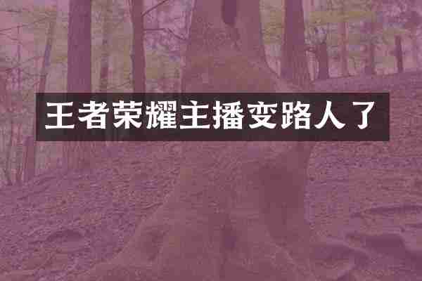 王者荣耀主播变路人了