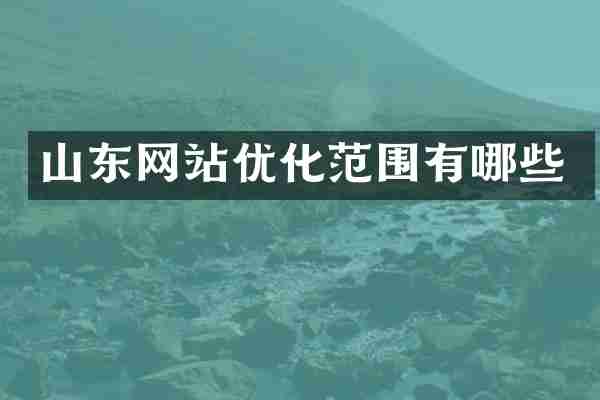 山东网站优化范围有哪些