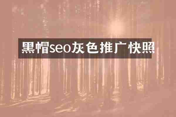 黑帽seo灰色推广快照