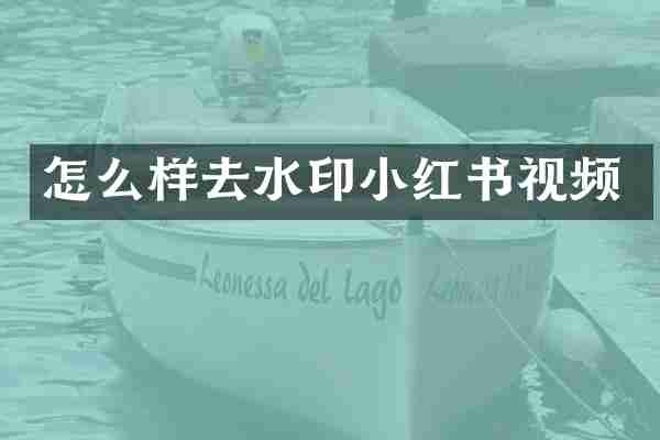 怎么样去水印小红书视频