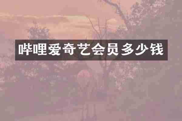 哔哩爱奇艺会员多少钱