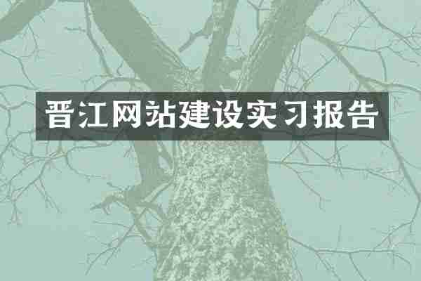 晋江网站建设实习报告