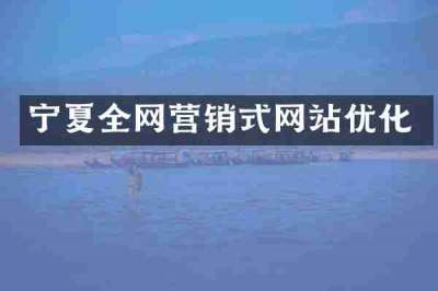 宁夏全网营销式网站优化