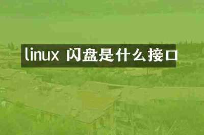 linux 闪盘是什么接口