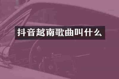 抖音越南歌曲叫什么