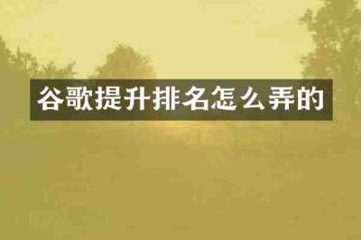 谷歌提升排名怎么弄的