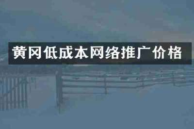 黄冈低成本网络推广价格
