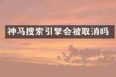 神马搜索引擎会被取消吗