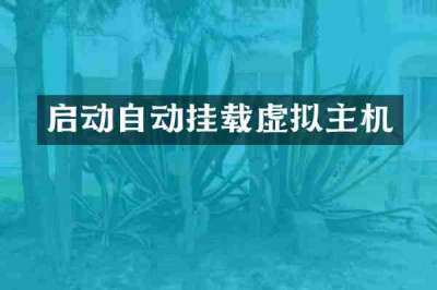 启动自动挂载虚拟主机