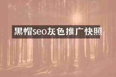 黑帽seo灰色推广快照