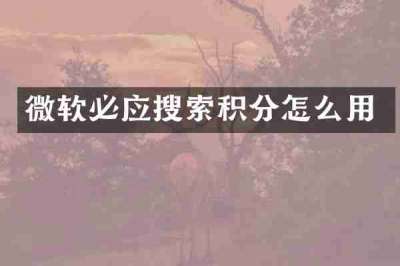 微软必应搜索积分怎么用