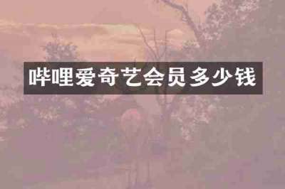 哔哩爱奇艺会员多少钱