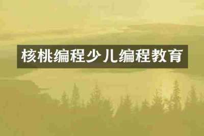 核桃编程少儿编程教育