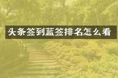 头条签到蓝签排名怎么看