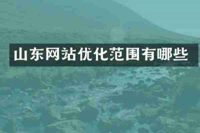 山东网站优化范围有哪些